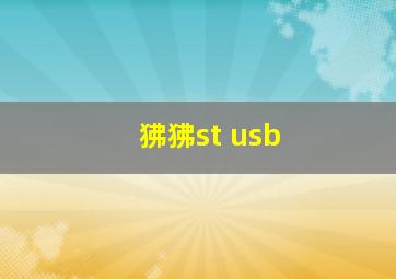 狒狒st usb